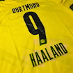 Picture of Dortmund 20/21 Home Haaland