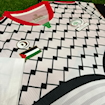 Picture of Palestine 2024 White Edition Player Version 