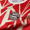 Picture of Bayern Munich 2024 Pre - Match
