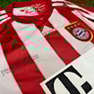 Picture of Bayern Munich 10/11 Home Robben Final