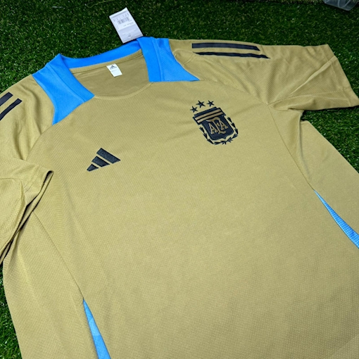 Picture of Argentina 2024 Pre - Match Golden Beige/Blue