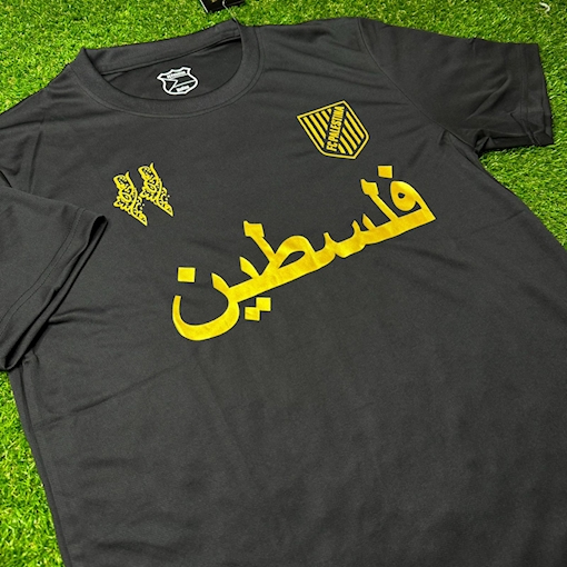 Picture of Palestine 24/25 Special Edition Black / Gold