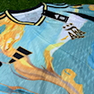 Picture of Argentina 24/25 Training Player version Blue