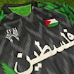 Picture of Palestine 24/25 Special Edition Black/Green Long - Sleeve