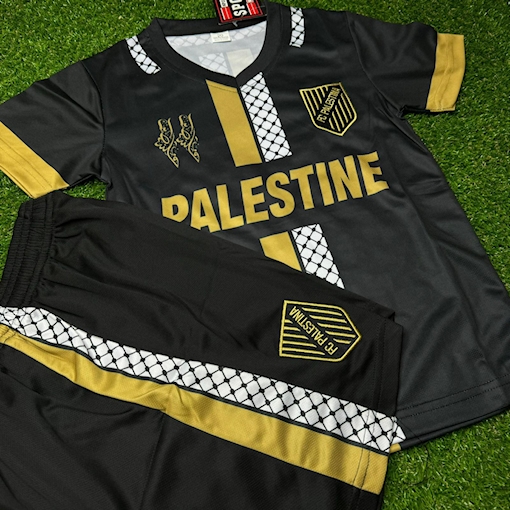 Picture of Palestine 24/25 Special Edition Black/Gold