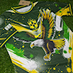 Picture of Brazil 2024 Eagle Special Edition Player Version