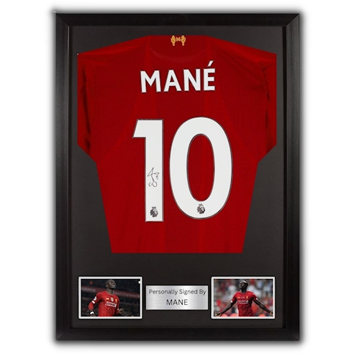 Picture of Mane signed & framed