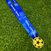 Picture of Champions League Final KYIV 2018 Medal