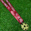 Picture of Champions League Final Roma 2009 Medal