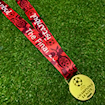 Picture of Champions League Final Istanbul 2005 Medal