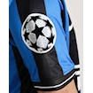 Picture of Inter Milan 09/10 Home Final Zanetti