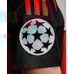Picture of Ac Milan 02/03 Home Shevchenko