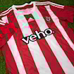 Picture of Southampton 15/16 Home Virgil
