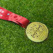 Picture of World Cup 2022 Medal