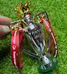 Picture of  Premier League Trophy 15CM