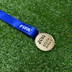 Picture of World Cup 2010 Medal - South Africa
