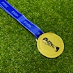 Picture of World Cup 2014 Medal - Brazil