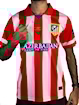 Picture of Atletico Madrid 13/14 Home 