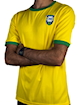 Picture of Brazil 1970 Home Pele Signature Edition