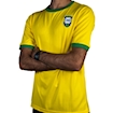 Picture of Brazil 1970 Home Pele Signature Edition