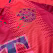 Picture of Bayern Munich 24/25 Home Player Version