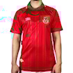 Picture of Wales 94/96 Home Rush