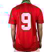 Picture of Wales 94/96 Home Rush