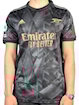 Picture of Arsenal 22/23 Away