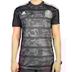 Picture of Mexico 2019 Home
