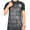 Picture of Mexico 2019 Home