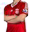 Picture of Liverpool 08/09 Home Gerrard