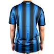 Picture of Inter Milan 10/11 home