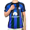 Picture of Inter Milan 22/23 Home Final print