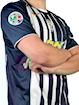 Picture of Juventus 04/05 Third Ibrahimovic
