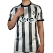 Picture of Juventus 22/23 Home