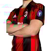 Picture of Ac Milan 10/11 Home Ibrahimovic