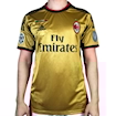 Picture of Ac Milan 13/14 Third Kaka