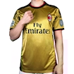 Picture of Ac Milan 13/14 Third Kaka