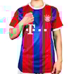 Picture of Bayern Munich 14/15 Home