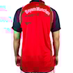 Picture of Bayern Munich 00/01 Home