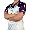Picture of Fiorentina 92/93 Away Batistuta