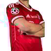 Picture of Bayern Munich 12/13 Home Final Lahm