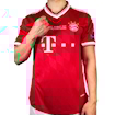 Picture of Bayern Munich 12/13 Home Robben Final