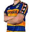 Picture of Parma 02/03 Home Nakata