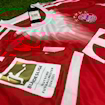 Picture of Bayern Munich 25/26 Home Kane