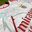 Picture of Benfica 25/26 Special Edition