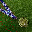 Picture of Premier League 01/02 Medal