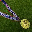 Picture of Premier League 03/04 Medal