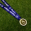 Picture of Premier League 16/17 Medal