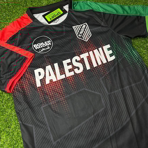 Picture of Palestine 2025 Special English Version